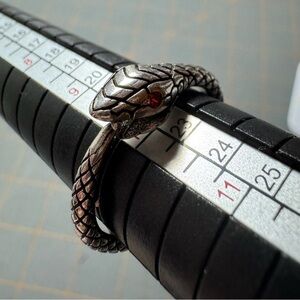 Silver colored snake ring with red gem eye. NWOT never worn. Size 10